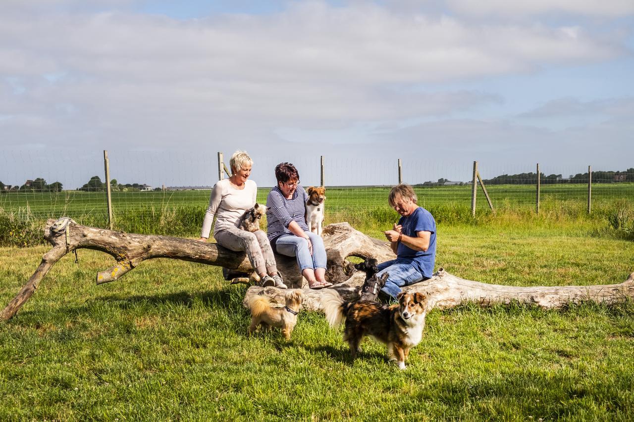 Hotel, Restaurant, Cafe Pharisaeerhof - Nordseeurlaub Mit Hund Nordstrand Exterior photo